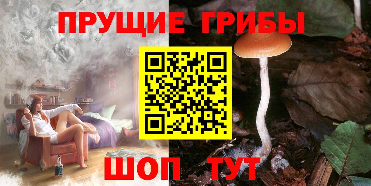 Галлюциногенные грибы MAGIC MUSHROOMS Рубцовск