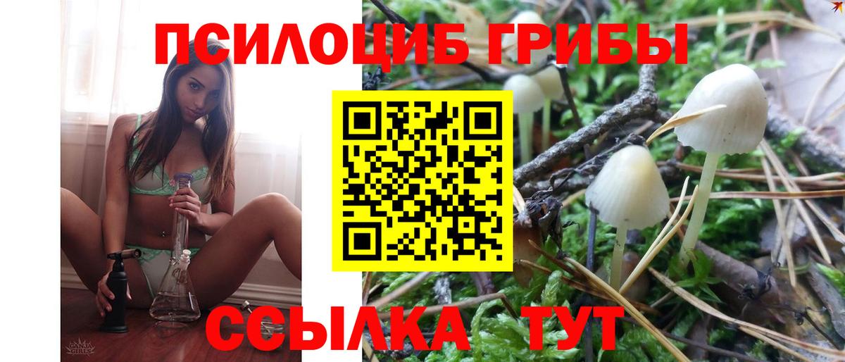 Рубцовск  Псилоцибиновые грибы Magic Shrooms  закладка  Вход с VPN 